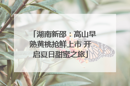湖南新邵：高山早熟黄桃抢鲜上市 开启夏日甜蜜之旅