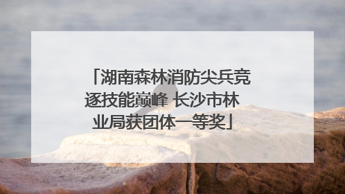 湖南森林消防尖兵竞逐技能巅峰 长沙市林业局获团体一等奖