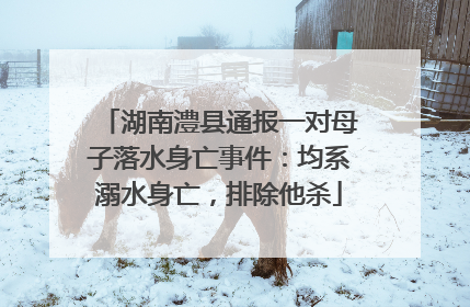 湖南澧县通报一对母子落水身亡事件：均系溺水身亡，排除他杀