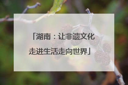 湖南：让非遗文化走进生活走向世界