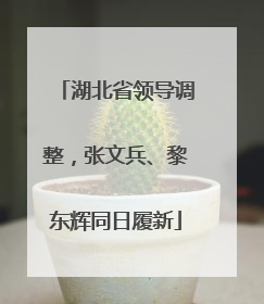 湖北省领导调整，张文兵、黎东辉同日履新