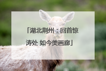 湖北荆州：回首惊涛处 如今美画廊