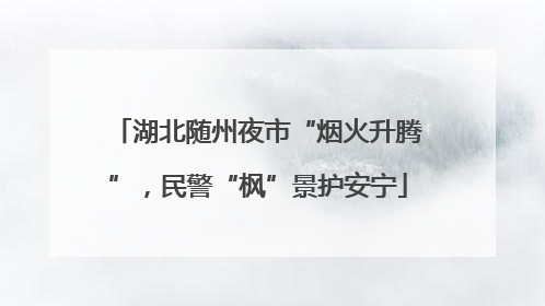 湖北随州夜市“烟火升腾”，民警“枫”景护安宁