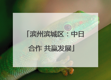 滨州滨城区：中日合作 共赢发展