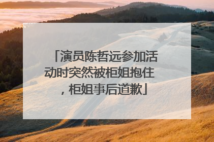 演员陈哲远参加活动时突然被柜姐抱住，柜姐事后道歉