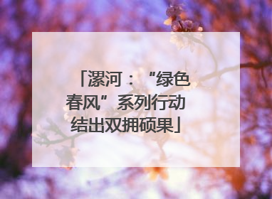漯河：“绿色春风”系列行动结出双拥硕果