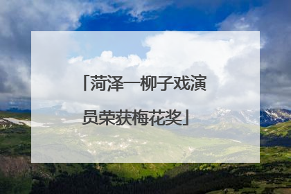 菏泽一柳子戏演员荣获梅花奖