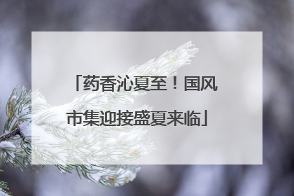 药香沁夏至！国风市集迎接盛夏来临