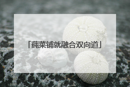 莼菜铺就融合双向道