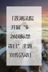 莲湖法院开展“6·26国际禁毒日”主题宣传活动