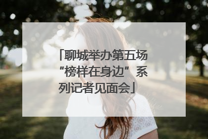 聊城举办第五场“榜样在身边”系列记者见面会