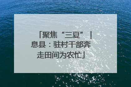 聚焦“三夏”｜息县：驻村干部奔走田间为农忙