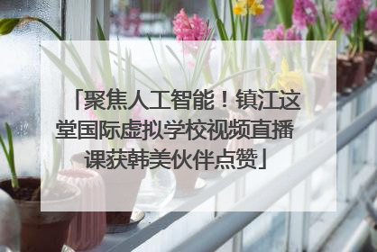 聚焦人工智能！镇江这堂国际虚拟学校视频直播课获韩美伙伴点赞
