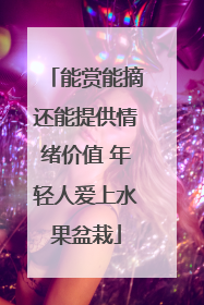 能赏能摘还能提供情绪价值 年轻人爱上水果盆栽