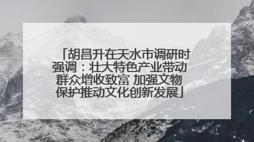 胡昌升在天水市调研时强调：壮大特色产业带动群众增收致富 加强文物保护推动文化创新发展