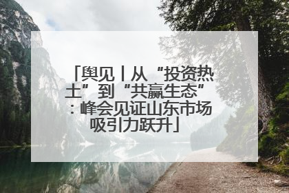 舆见丨从“投资热土”到“共赢生态”：峰会见证山东市场吸引力跃升