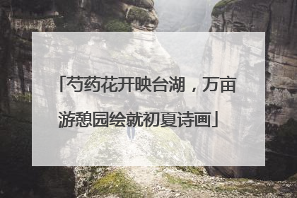 芍药花开映台湖，万亩游憩园绘就初夏诗画