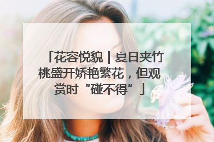 花容悦貌｜夏日夹竹桃盛开娇艳繁花，但观赏时“碰不得”