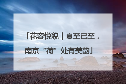 花容悦貌｜夏至已至，南京“荷”处有美韵