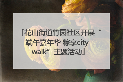 花山街道竹园社区开展“端午嘉年华 粽享city walk”主题活动