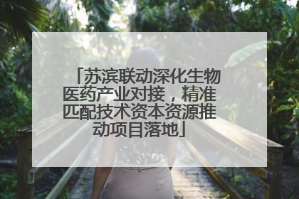 苏滨联动深化生物医药产业对接，精准匹配技术资本资源推动项目落地