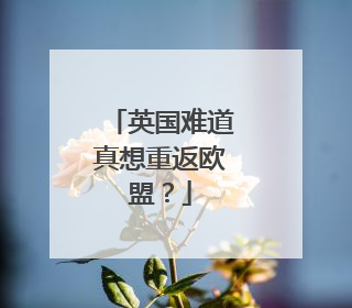 英国难道真想重返欧盟？