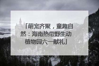 萌宠齐聚，童趣自然：海南热带野生动植物园六一献礼
