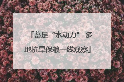 蓄足“水动力” 多地抗旱保粮一线观察