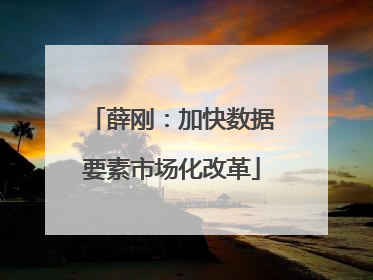 薛刚：加快数据要素市场化改革