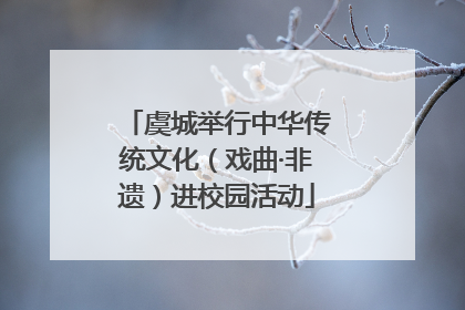 虞城举行中华传统文化（戏曲·非遗）进校园活动