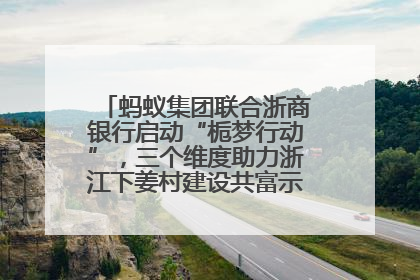 蚂蚁集团联合浙商银行启动“栀梦行动”，三个维度助力浙江下姜村建设共富示范区示范点