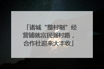 诸城“整村制”经营铺就富民强村路，合作社迎来大丰收