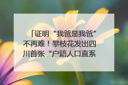 证明“我爸是我爸”不再难！攀枝花发出四川首张“户籍人口直系亲属关系谱”