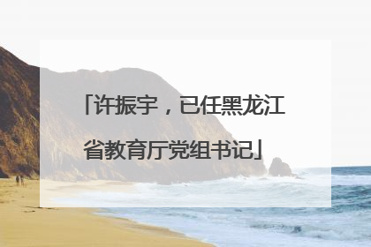 许振宇，已任黑龙江省教育厅党组书记