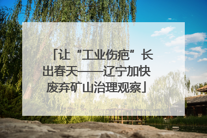 让“工业伤疤”长出春天——辽宁加快废弃矿山治理观察