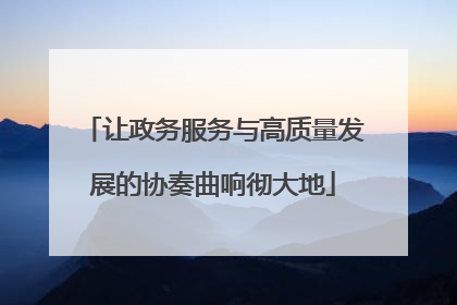 让政务服务与高质量发展的协奏曲响彻大地