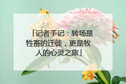 记者手记：转场是牲畜的迁徙，更是牧人的心灵之旅
