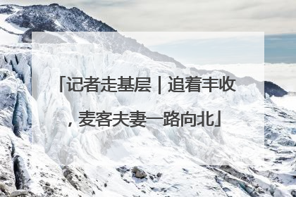 记者走基层｜追着丰收，麦客夫妻一路向北
