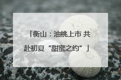 衡山：油桃上市 共赴初夏“甜蜜之约”