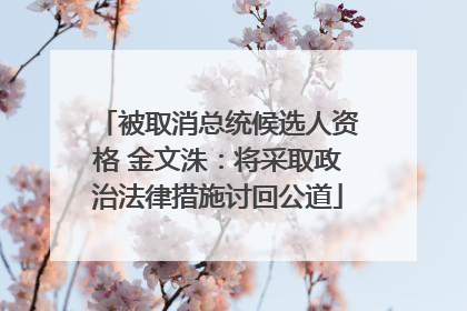 被取消总统候选人资格 金文洙：将采取政治法律措施讨回公道