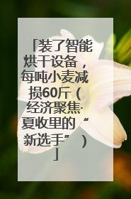 装了智能烘干设备，每吨小麦减损60斤（经济聚焦·夏收里的“新选手”）