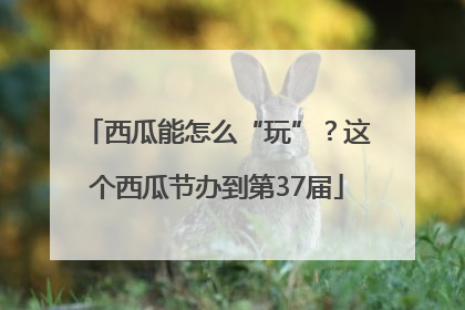 西瓜能怎么“玩”？这个西瓜节办到第37届