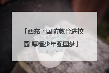 西充：国防教育进校园 厚植少年强国梦