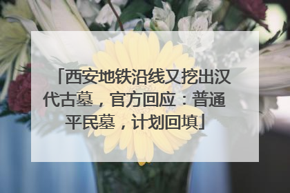 西安地铁沿线又挖出汉代古墓，官方回应：普通平民墓，计划回填