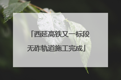 西延高铁又一标段无砟轨道施工完成