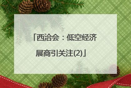西洽会：低空经济展商引关注(2)