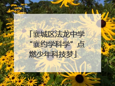 襄城区法龙中学“襄约学科学”点燃少年科技梦