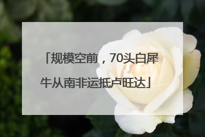 规模空前，70头白犀牛从南非运抵卢旺达