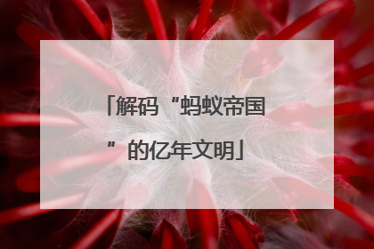 解码“蚂蚁帝国”的亿年文明