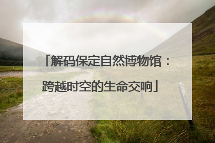 解码保定自然博物馆：跨越时空的生命交响